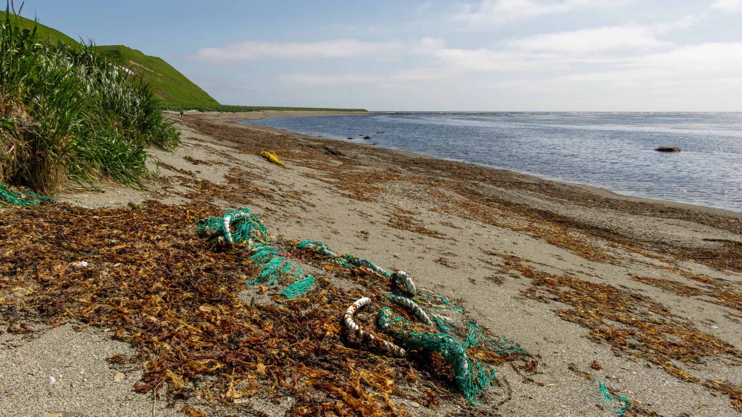 A green fishing net washed up on a grassy Bering Sea beach